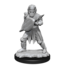Wizkids Wizkids - Nolzur's Marvelous Miniatures: Human Fighter