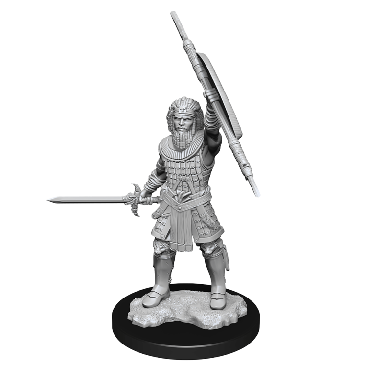 Wizkids Wizkids - Nolzur's Marvelous Miniatures: Human Fighter