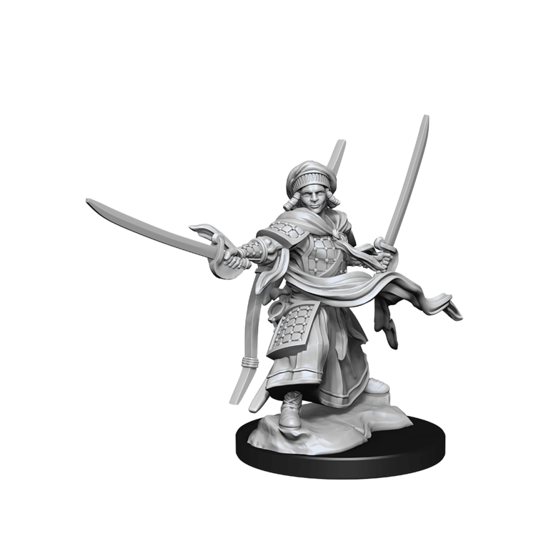 Wizkids Wizkids - Nolzur's Marvelous Miniatures: Human Ranger