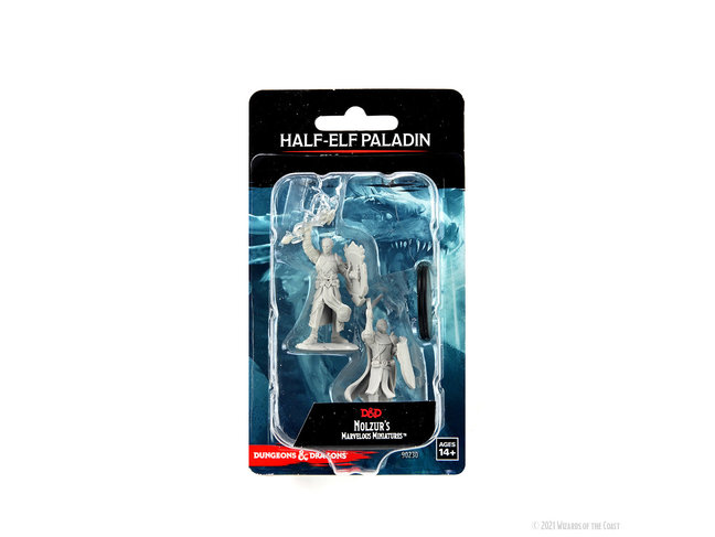 Wizkids Half-Elf Paladin