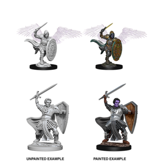 Wizkids Aasimar Paladin
