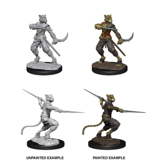 Wizkids Tabaxi Rogue