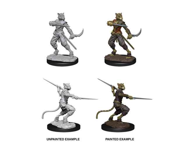 Wizkids Tabaxi Rogue