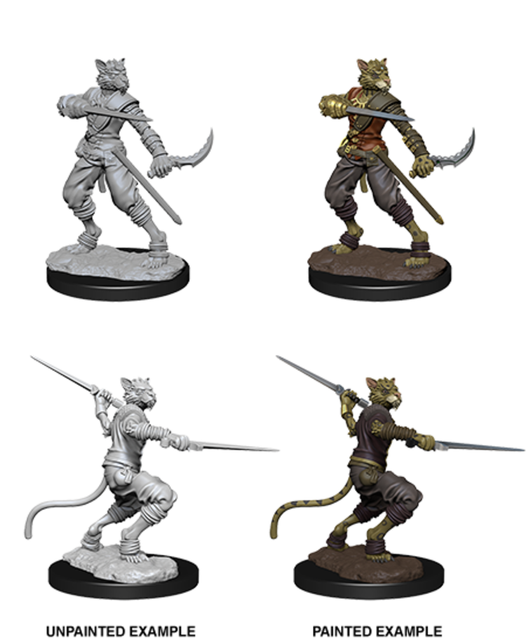Wizkids Wizkids - Nolzur's Marvelous Miniatures: Tabaxi Rogue