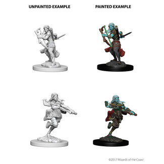 Wizkids Air Genasi Rogue