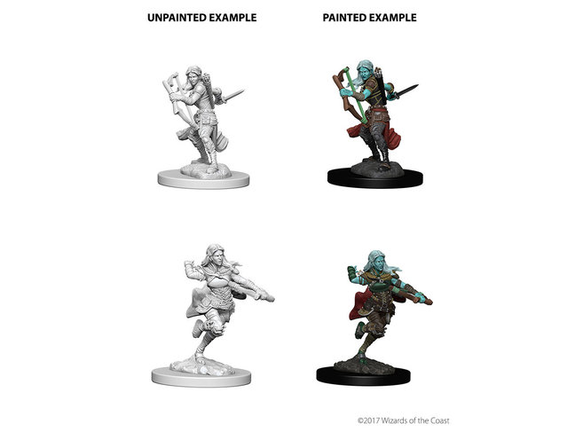 Wizkids Air Genasi Rogue
