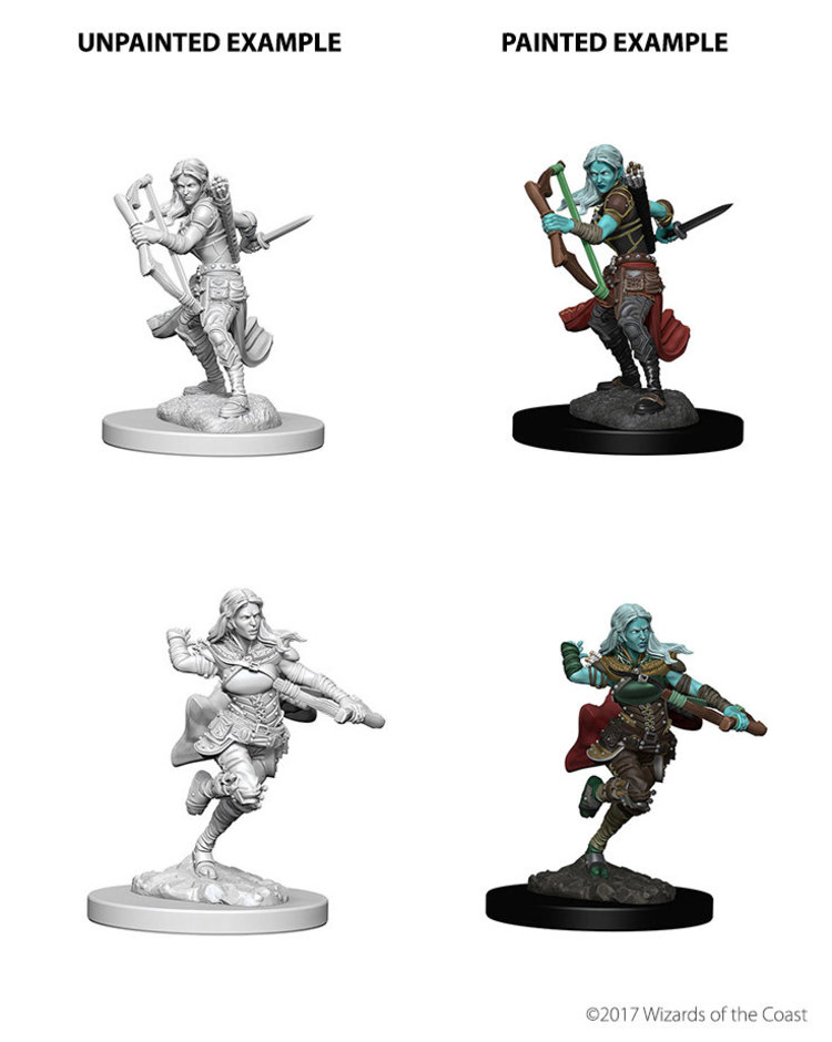 Wizkids Wizkids - Nolzur's Marvelous Miniatures: Air Genasi Rogue