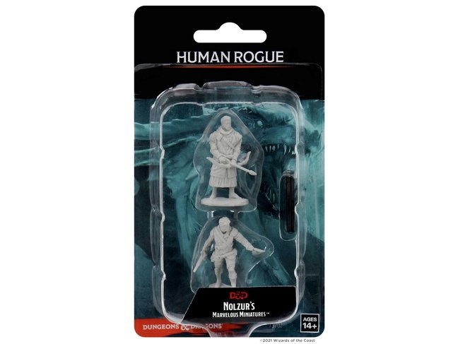 Wizkids Human Rogue