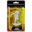 Wizkids Wizkids - Nolzur's Marvelous Miniatures: Eidolon Possessed Sacred Statue