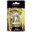 Wizkids Wizkids - Nolzur's Marvelous Miniatures: Raging Troll
