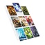 Ultimate Guard Ultimate Guard: 9-Pocket Pages (100) Transparent