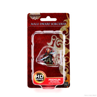 Wizkids Male Dwarf Sorcerer