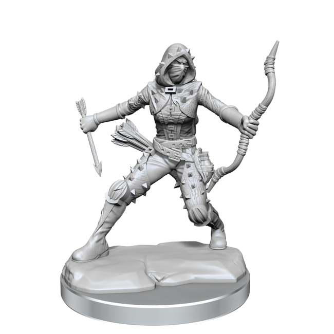 Wizkids Wizkids - Frameworks: Human Rogue Female