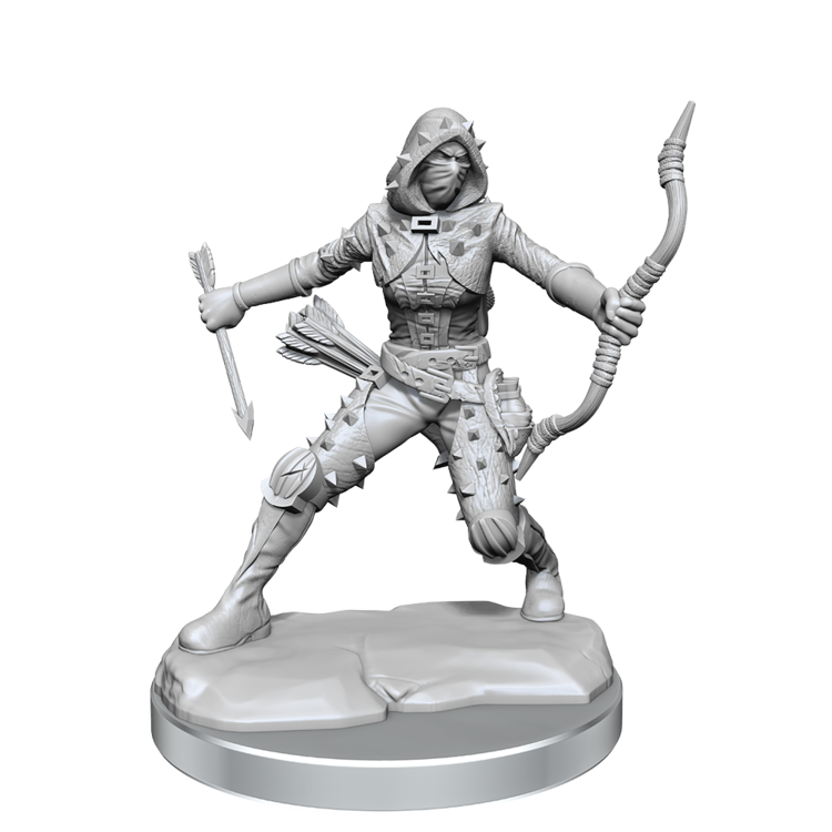 Wizkids Wizkids - Frameworks: Human Rogue Female