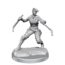 Wizkids Wizkids - Frameworks: Human Rogue Female