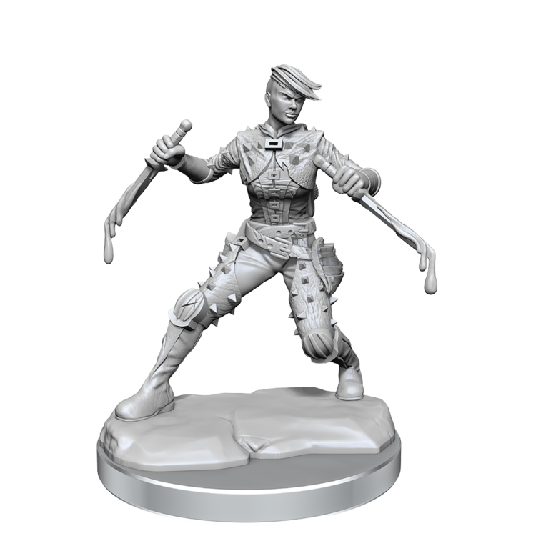 Wizkids Wizkids - Frameworks: Human Rogue Female