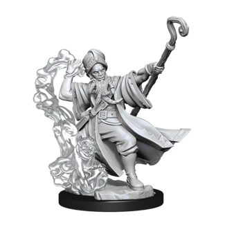 Wizkids Human Wizard Male