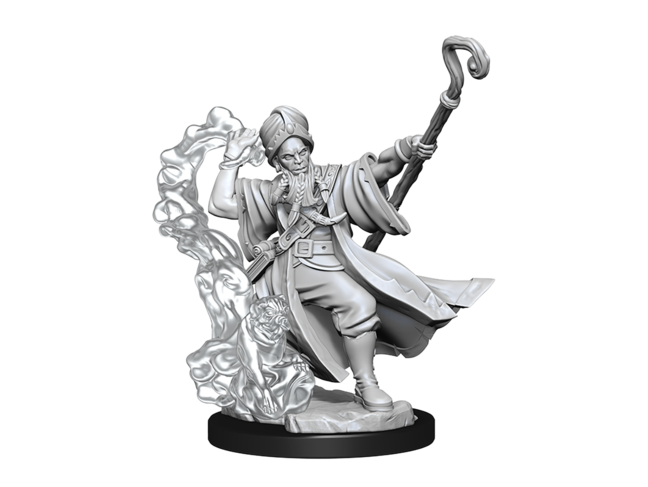 Wizkids Human Wizard Male
