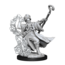 Wizkids Wizkids - Frameworks: Human Wizard Male