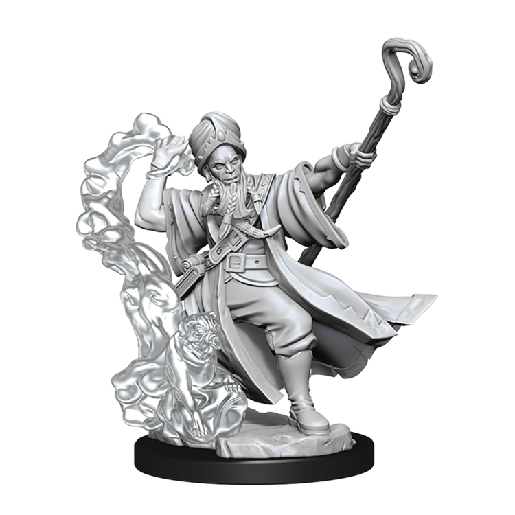 Wizkids Wizkids - Frameworks: Human Wizard Male