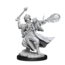 Wizkids Wizkids - Frameworks: Human Wizard Male