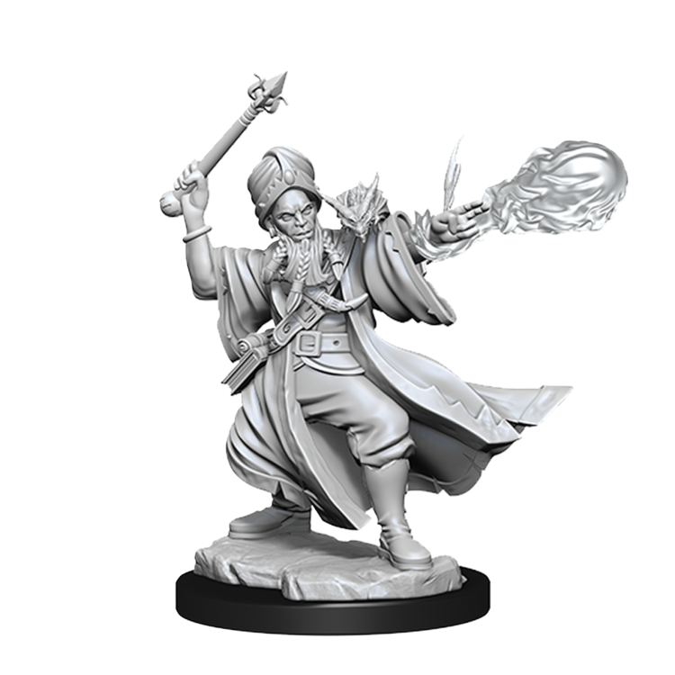 Wizkids Wizkids - Frameworks: Human Wizard Male