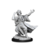 Wizkids Wizkids - Frameworks: Human Wizard Male