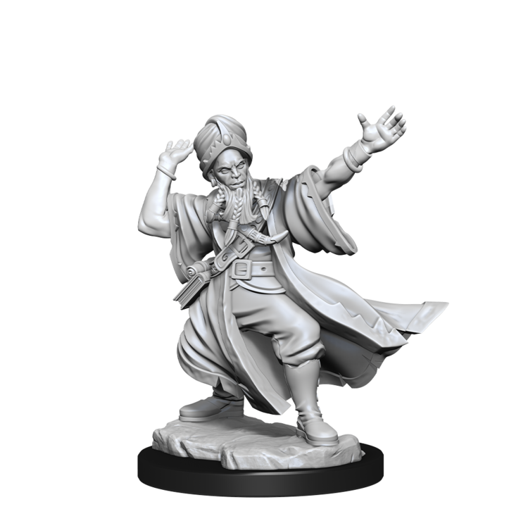 Wizkids Wizkids - Frameworks: Human Wizard Male