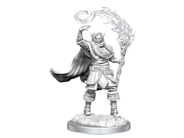 Wizkids Elf Cleric Male