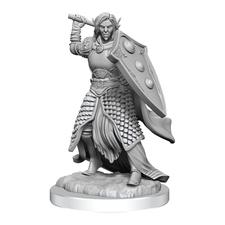 Wizkids Wizkids - Nolzur's Marvelous Miniatures: Elf Cleric Male