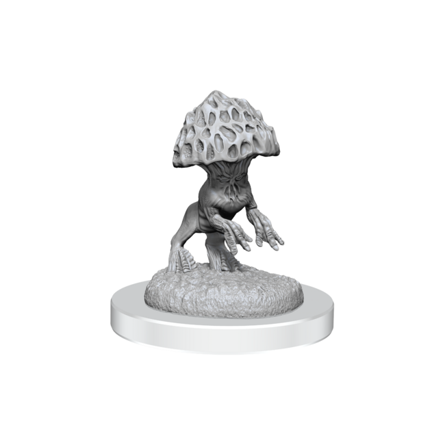 Wizkids Wizkids - Nolzur's Marvelous Miniatures: Myconid Sovereign & Sprouts