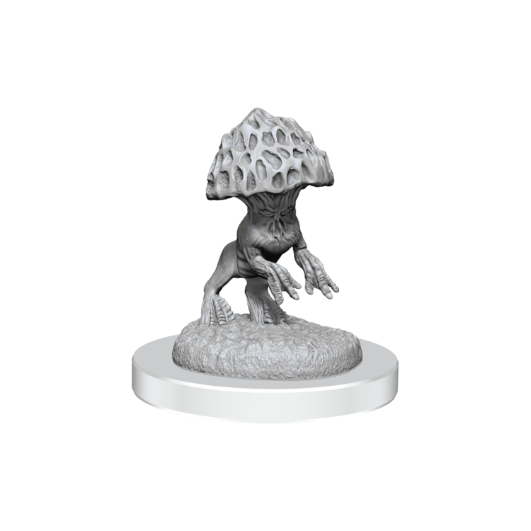 Wizkids Wizkids - Nolzur's Marvelous Miniatures: Myconid Sovereign & Sprouts