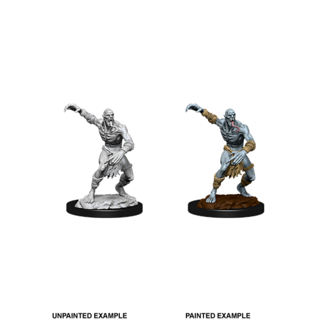Wizkids Wizkids - Nolzur's Marvelous Miniatures: Wight & Ghast