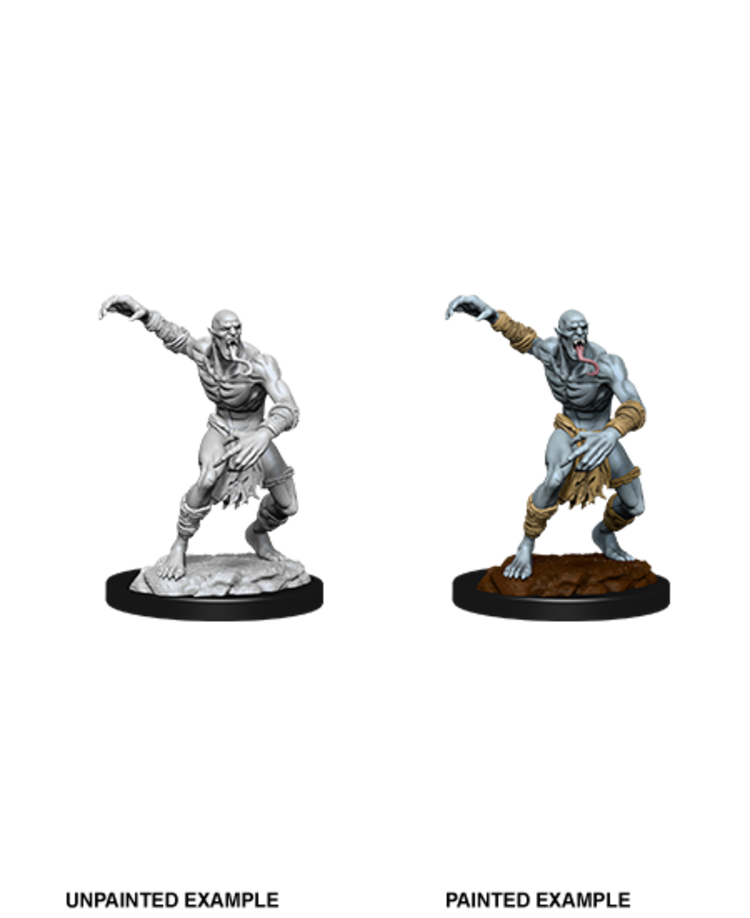 Wizkids Wizkids - Nolzur's Marvelous Miniatures: Wight & Ghast