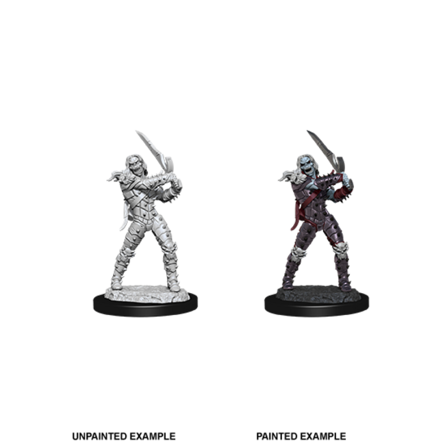 Wizkids Wizkids - Nolzur's Marvelous Miniatures: Wight & Ghast