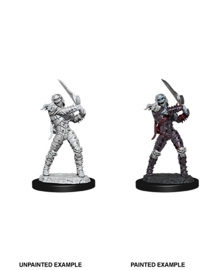 Wizkids Wizkids - Nolzur's Marvelous Miniatures: Wight & Ghast