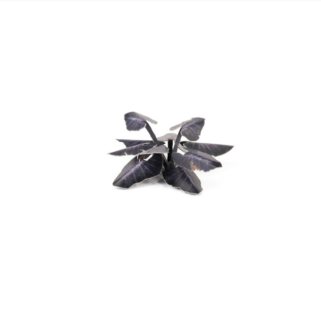 Gamers Grass GamersGrass: Laser Plants - Black Magic Taro