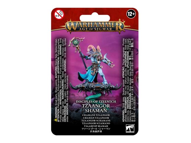 Games Workshop Warhammer Disciples of Tzeentch: Tzaangor Shaman