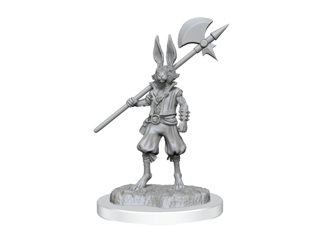 Wizkids Harengon Brigands