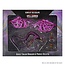Wizkids Wizkids - Icons of the Realms: Adult Solar Dragon & Prince Xeleth