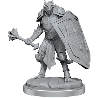 Wizkids Dragonborn Clerics