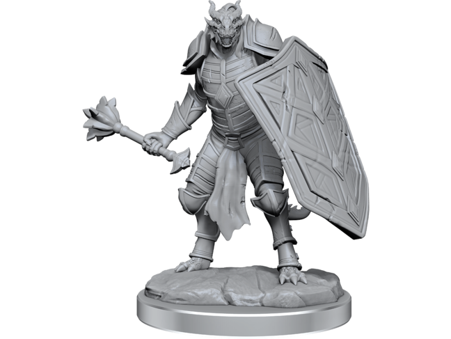 Wizkids Dragonborn Clerics