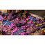 Gamers Grass GamersGrass: Tufts - Tiny Alien Neon