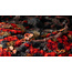 Gamers Grass GamersGrass: Tufts - Alien Blood Moon 6mm