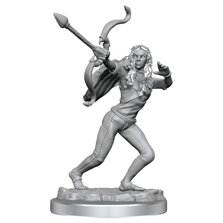 Wizkids Wizkids - Critical Role: Ashari Stoneguard & Ashari Skydancer