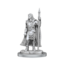 Wizkids Wizkids: Brigante Celts