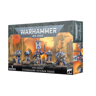 Games Workshop Space Marines: Sternguard Veteran Squad
