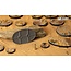 Gamers Grass GamersGrass: Bases - Deserts of Maahl Oval 75mm Battle Ready (3)