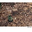 PWork Wargames PWork Wargames: Arid Plain (22"x30")