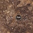 PWork Wargames PWork Wargames: Arid Plain (22"x30")